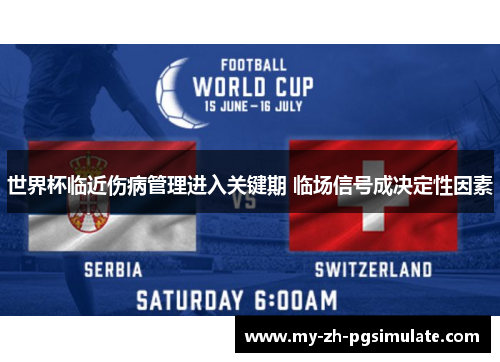 世界杯临近伤病管理进入关键期 临场信号成决定性因素 世界杯临近伤病管理进入关键期 临场信号成决定性因素