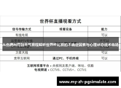 从伤病判罚到天气赛程解析世界杯比赛的不确定因素与心理状态战术临场